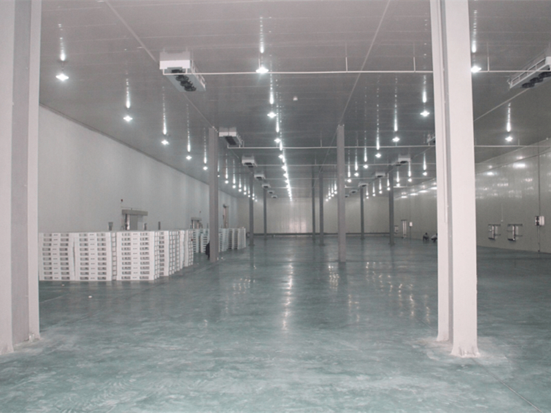 天津冷凍庫出租